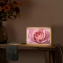 Roze - Roos - Romantisch Light Box met kabel (Tafellamp) klein -sfeer4