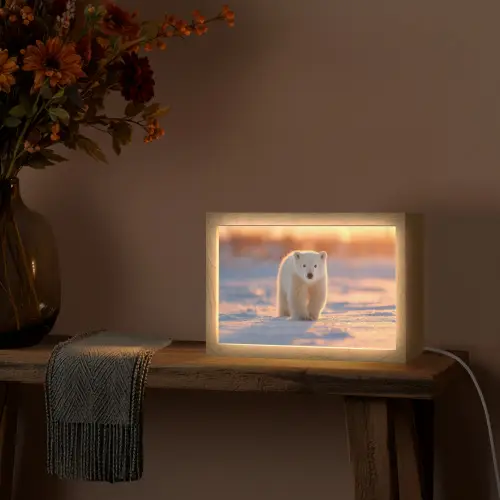 Ijsbeer - Sneeuw - Zonsopgang Light Box met kabel (Tafellamp) klein -sfeer4