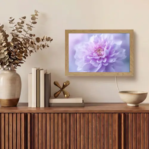 Paars - Dahlia - Dromerig Light Box met kabel (Tafellamp) klein -sfeer2