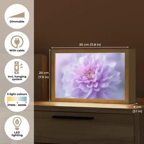 Paars - Dahlia - Dromerig Light Box met kabel (Tafellamp) klein -USP_EN
