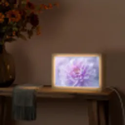 Paars - Dahlia - Dromerig Light Box met kabel (Tafellamp) klein -sfeer4
