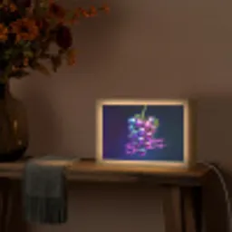 Quote - Neon - Disco - Druiven Light Box met kabel (Tafellamp) klein -sfeer4