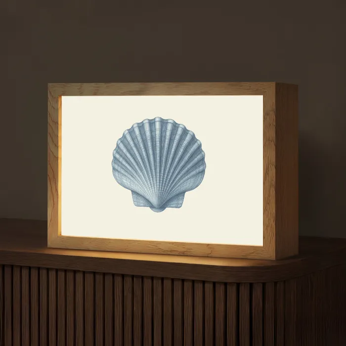 Ribbels - Blauw - Schelp Light Box met kabel (Tafellamp) klein -z3d_website
