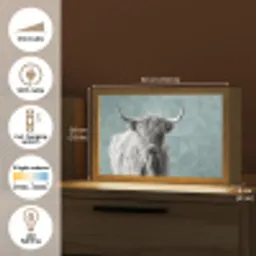 Schotse hooglander - Zwart wit - Patroon - Driehoek Light Box met kabel (Tafellamp) klein -USP_EN
