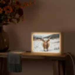 Schotse Hooglander - Landschap - Sneeuw - Bergen - Winter Light Box met kabel (Tafellamp) klein -sfeer4
