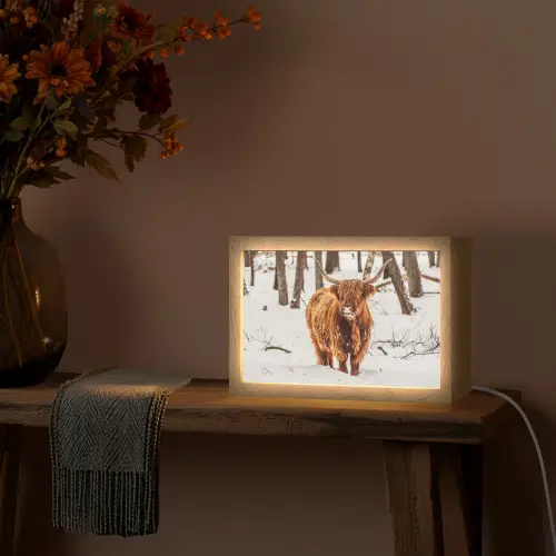 Schotse Hooglander - Sneeuw - Winter - Natuur - Dieren Light Box met kabel (Tafellamp) klein -sfeer4