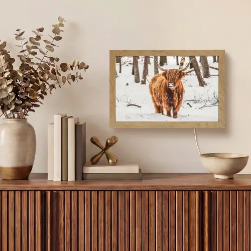 Schotse Hooglander - Sneeuw - Winter - Natuur - Dieren Light Box met kabel (Tafellamp) klein -sfeer2