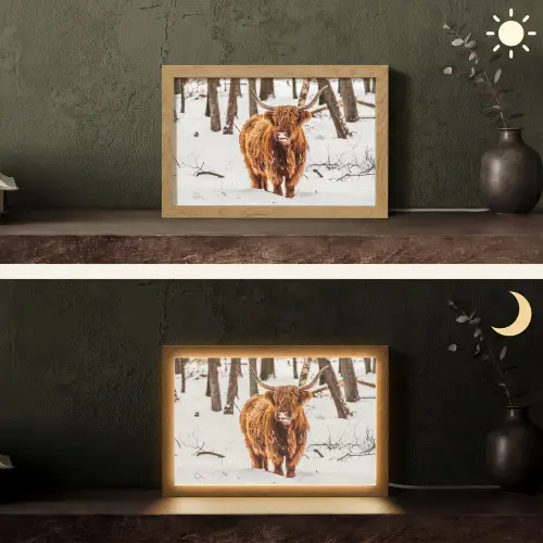 Schotse Hooglander - Sneeuw - Winter - Natuur - Dieren Light Box met kabel (Tafellamp) klein -sfeer3