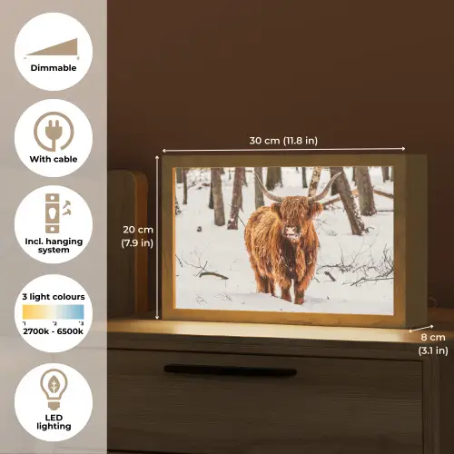 Schotse Hooglander - Sneeuw - Winter - Natuur - Dieren Light Box met kabel (Tafellamp) klein -USP_EN