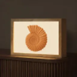 Schelp - Oranje - Ribbels Light Box met kabel (Tafellamp) klein -z3d_website