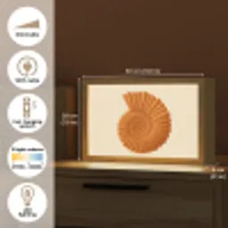 Schelp - Oranje - Ribbels Light Box met kabel (Tafellamp) klein -USP_EN