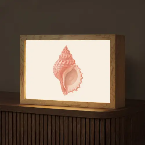 Schelp - Roze - Structuur Light Box met kabel (Tafellamp) klein -z3d_website