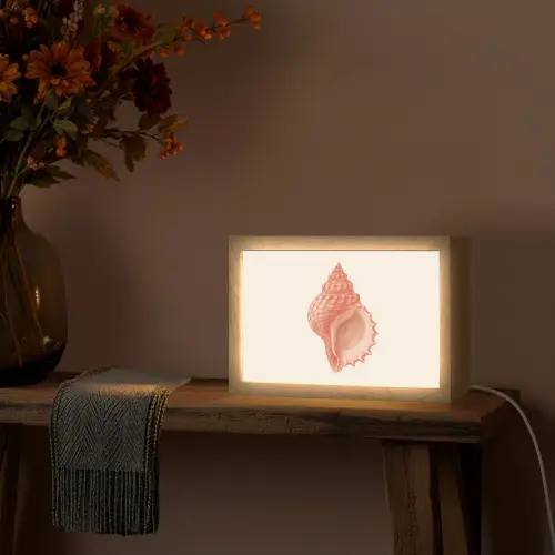 Schelp - Roze - Structuur Light Box met kabel (Tafellamp) klein -sfeer4