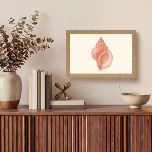 Schelp - Roze - Structuur Light Box met kabel (Tafellamp) klein -sfeer2
