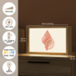 Schelp - Roze - Structuur Light Box met kabel (Tafellamp) klein -USP_EN