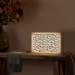 Schelpen - Waaiervorm - Wit Light Box met kabel (Tafellamp) klein 924 -sfeer4