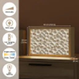 Schelpen - Waaiervorm - Wit Light Box met kabel (Tafellamp) klein 924 -USP_EN