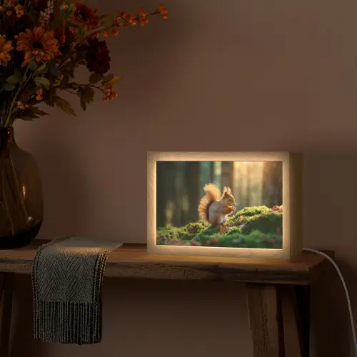 Eekhoorn - Nootje - Gras Light Box met kabel (Tafellamp) klein -sfeer4