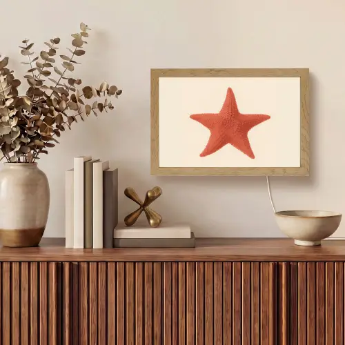 Zeester - Bobbels - Rood Light Box met kabel (Tafellamp) klein -sfeer2