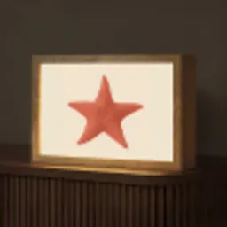 Zeester - Bobbels - Rood Light Box met kabel (Tafellamp) klein -z3d_website