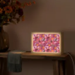 Zomer - Vlinder - Donker - Roze Light Box met kabel (Tafellamp) klein 924 -sfeer4