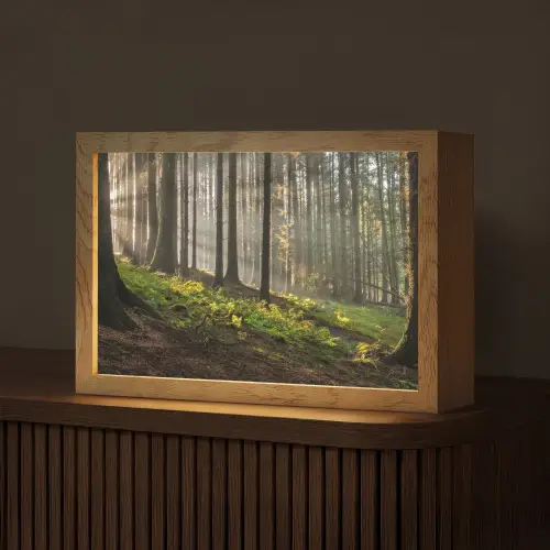 Zon - Takken - Bomen - Bos - Natuur Light Box met kabel (Tafellamp) klein -z3d_website