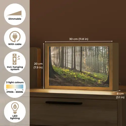 Zon - Takken - Bomen - Bos - Natuur Light Box met kabel (Tafellamp) klein -USP_EN