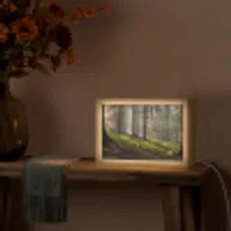 Zon - Takken - Bomen - Bos - Natuur Light Box met kabel (Tafellamp) klein -sfeer4