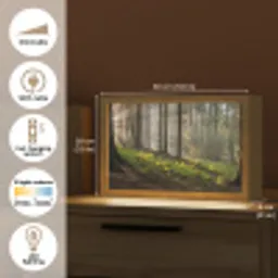 Zon - Takken - Bomen - Bos - Natuur Light Box met kabel (Tafellamp) klein -USP_EN