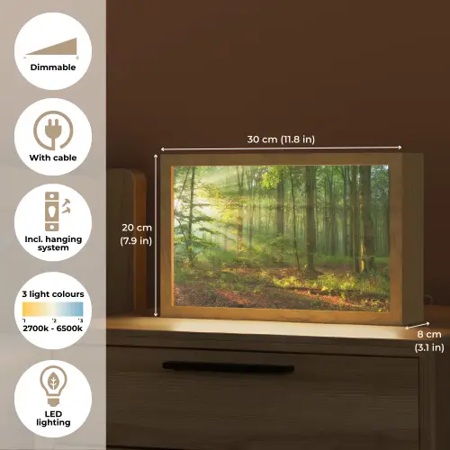 Zon - Bos - Bomen - Natuur - Herfst Light Box met kabel (Tafellamp) klein -USP_EN