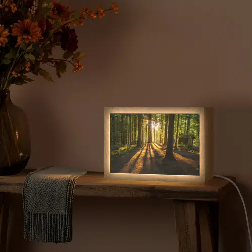 Zon - Bomen - Bos - Landschap - Natuur Light Box met kabel (Tafellamp) klein -sfeer4