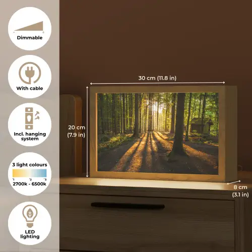 Zon - Bomen - Bos - Landschap - Natuur Light Box met kabel (Tafellamp) klein -USP_EN