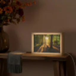 Zon - Bomen - Bos - Landschap - Natuur Light Box met kabel (Tafellamp) klein -sfeer4