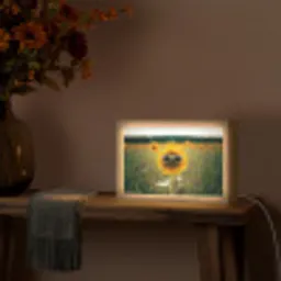 Zonnebloem - Veld - Zonnebril Light Box met kabel (Tafellamp) klein -sfeer4