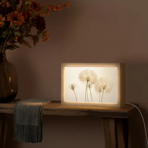 Zonlicht - Paardenbloem - Botanisch - Bloemen Light Box met kabel (Tafellamp) klein -sfeer4