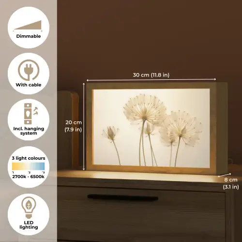 Zonlicht - Paardenbloem - Botanisch - Bloemen Light Box met kabel (Tafellamp) klein -USP_EN