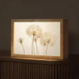 Zonlicht - Paardenbloem - Botanisch - Bloemen Light Box met kabel (Tafellamp) klein -z3d_website