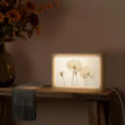 Zonlicht - Paardenbloem - Botanisch - Bloemen Light Box met kabel (Tafellamp) klein -sfeer4