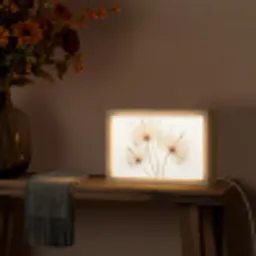 Zonlicht - Paardenbloemen - Natuur - Botanisch Light Box met kabel (Tafellamp) klein -sfeer4