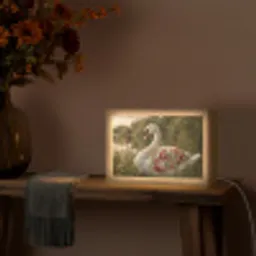 Zwaan - Bloemen - Natuur Light Box met kabel (Tafellamp) klein -sfeer4