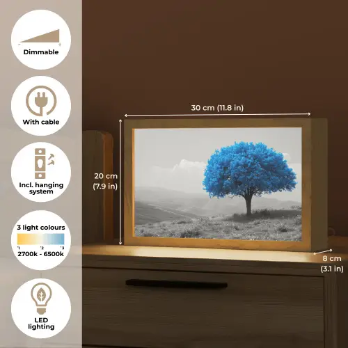 Boom - Natuur - Blauw - Zwart wit Light Box met kabel (Tafellamp) klein -USP_EN