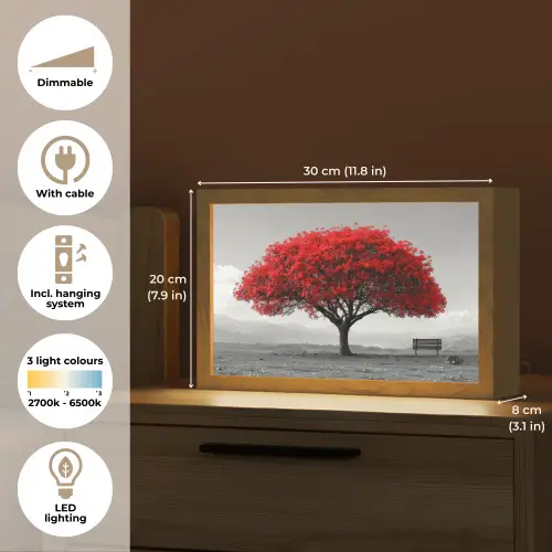 Boom - Rood - Natuur - Zwart wit Light Box met kabel (Tafellamp) klein -USP_EN