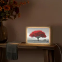 Boom - Rood - Natuur - Zwart wit Light Box met kabel (Tafellamp) klein -sfeer4