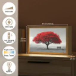 Boom - Rood - Natuur - Zwart wit Light Box met kabel (Tafellamp) klein -USP_EN