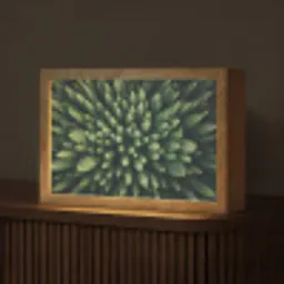 Bomen - Naaldwoud - Structuur Light Box met kabel (Tafellamp) klein -z3d_website