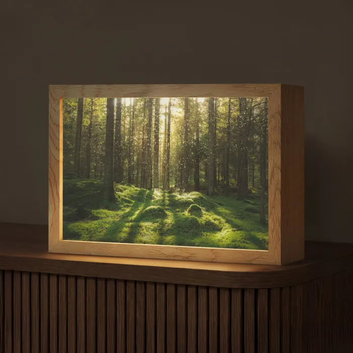 Bomen - Bos - Mos - Planten - Zon - Natuur Light Box met kabel (Tafellamp) klein -z3d_website