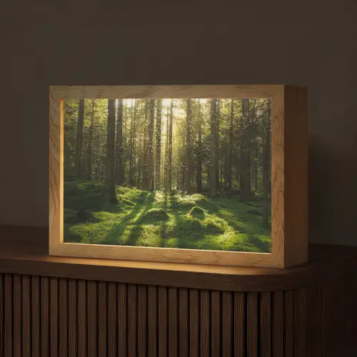 Bomen - Bos - Mos - Planten - Zon - Natuur Light Box met kabel (Tafellamp) klein -z3d_website