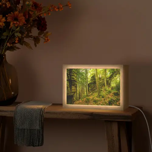 Bomen - Steen - Bos - Natuur - Planten Light Box met kabel (Tafellamp) klein -sfeer4