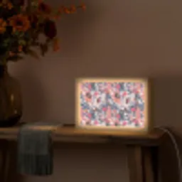 Tropisch - Zomer - Vlinder - Perzik Light Box met kabel (Tafellamp) klein 924 -sfeer4