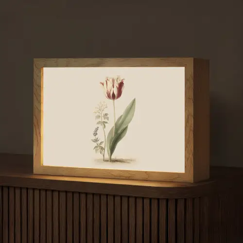 Tulp - Minimalistisch - Beige Light Box met kabel (Tafellamp) klein -z3d_website